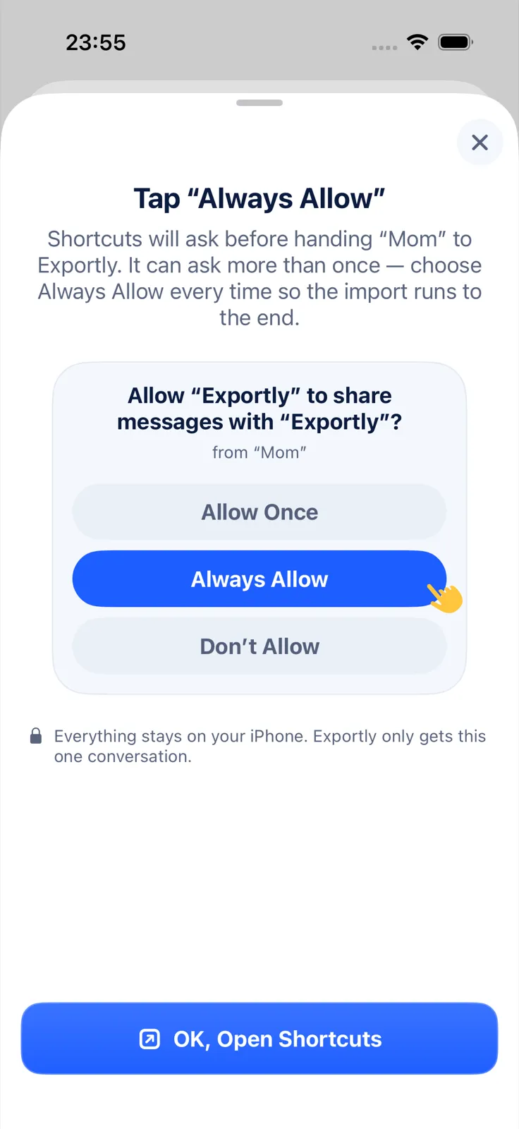 Exportly’s step showing the Shortcuts prompt with Always Allow